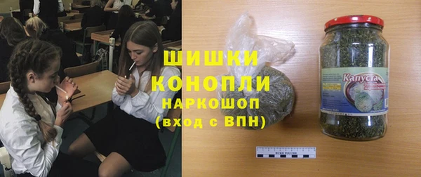 spice Бородино
