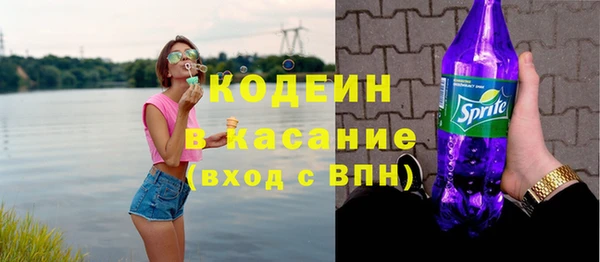 spice Бородино
