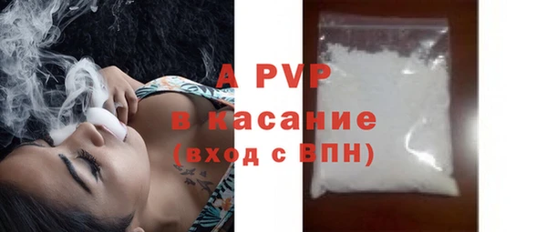spice Бородино