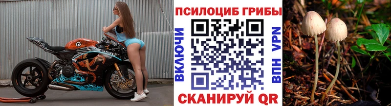 Купить где  Микунь  Псилоцибиновые грибы ЛСД 